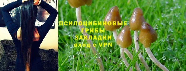 винт Белоозёрский