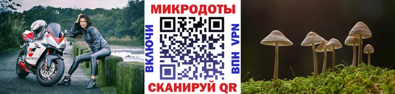 Галлюциногенные грибы прущие грибы  Усмань 